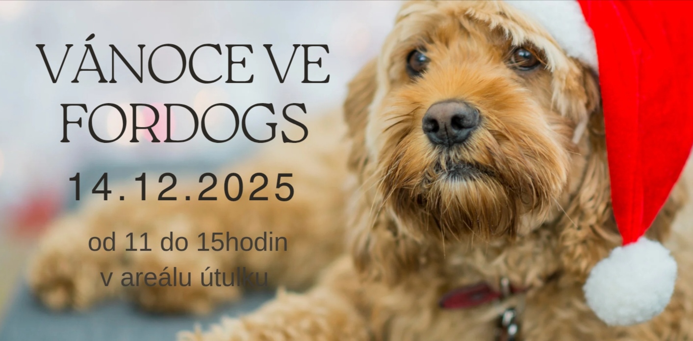 Vánoce v útulku